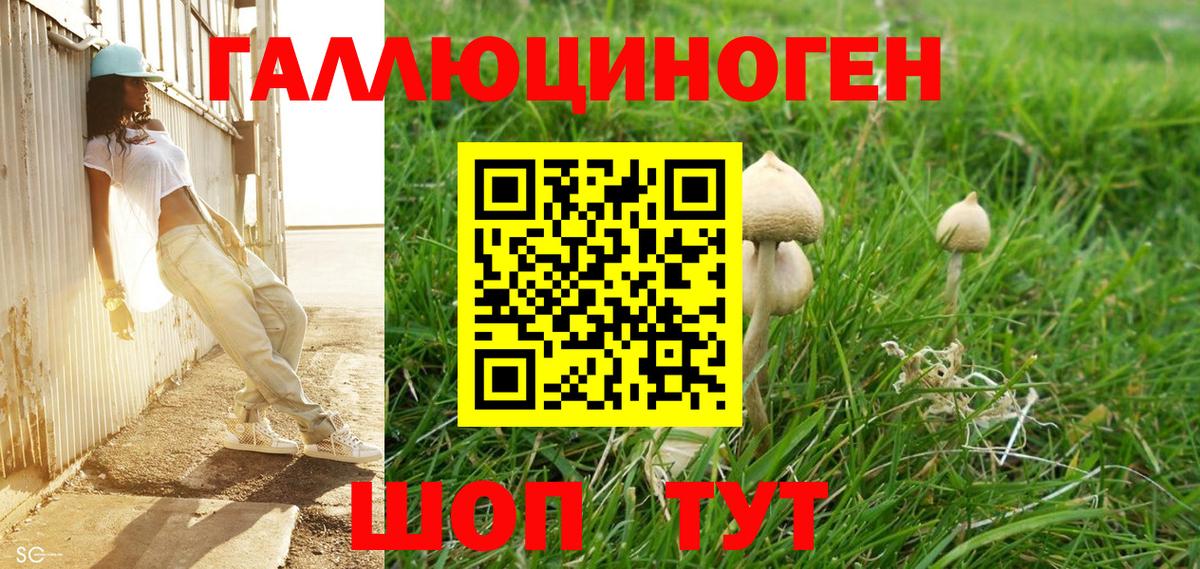 Галлюциногенные грибы Psilocybe  Галлюциногенные грибы GOLDEN TEACHER  Сертолово  Вход с VPN 